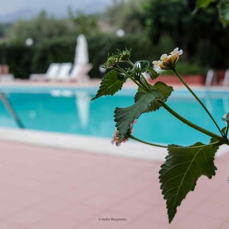 Il Casale Il Sole E La Margherita Campofelice Di Roccella Buitenkant foto