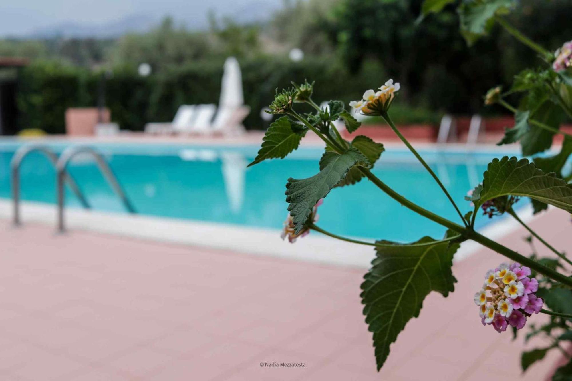 Il Casale Il Sole E La Margherita Campofelice Di Roccella Buitenkant foto