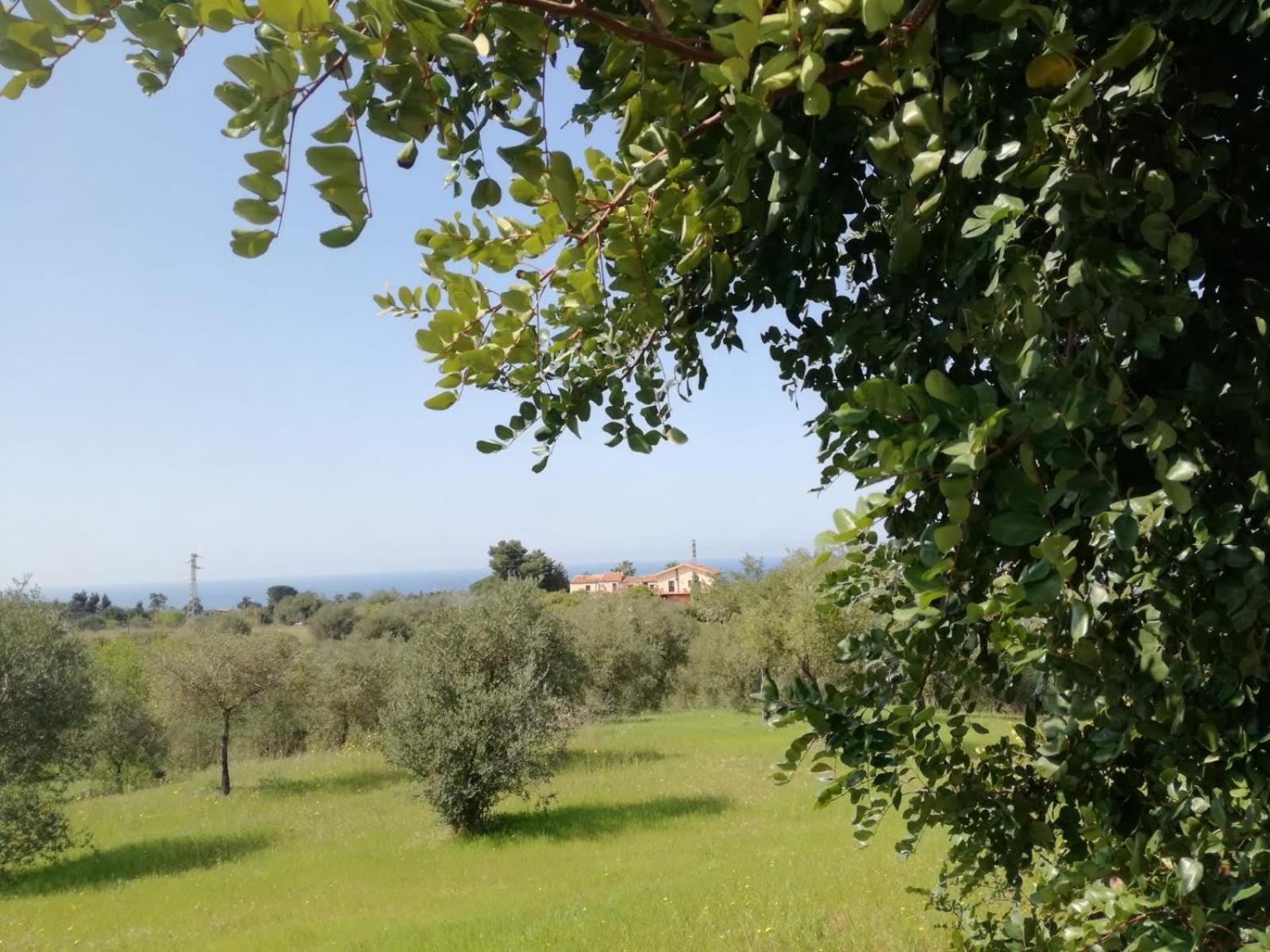 Il Casale Il Sole E La Margherita Campofelice Di Roccella Buitenkant foto