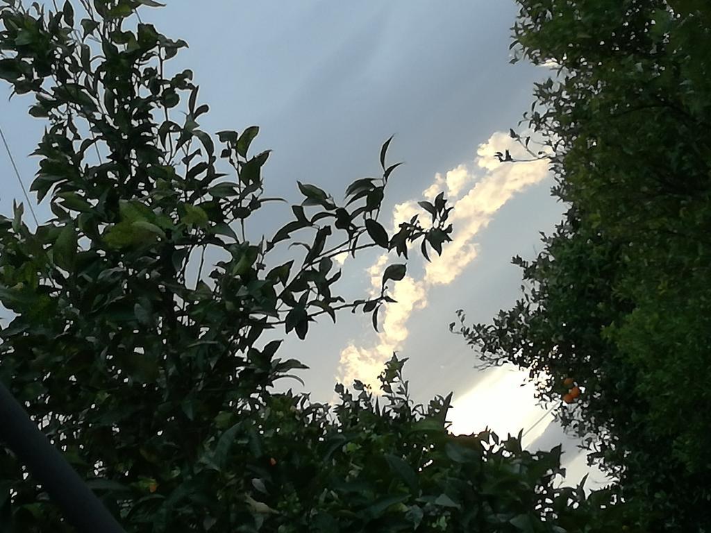 Il Casale Il Sole E La Margherita Campofelice Di Roccella Buitenkant foto