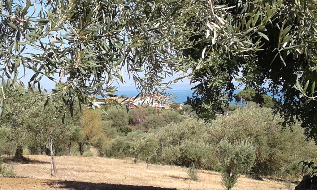 Il Casale Il Sole E La Margherita Campofelice Di Roccella Buitenkant foto